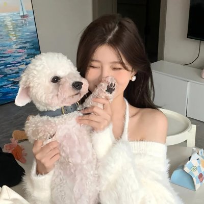 恶犬之下