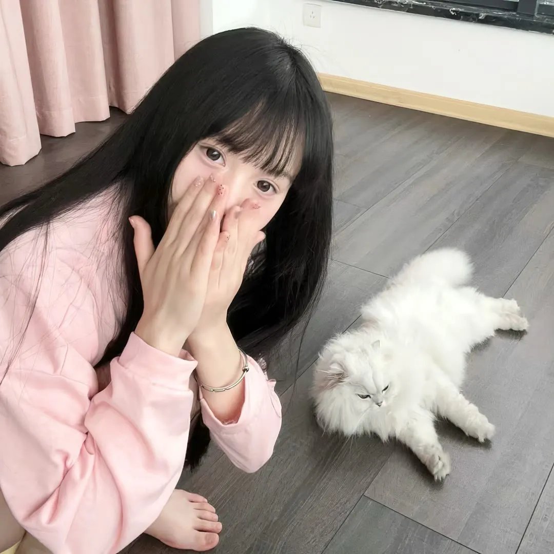 无节操摄影部